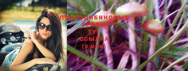 марки lsd Алзамай