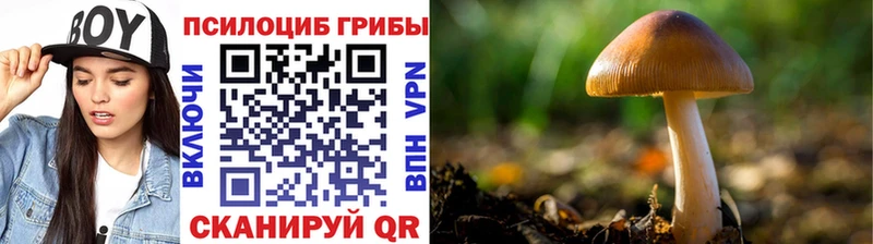 Псилоцибиновые грибы мицелий  Липки 