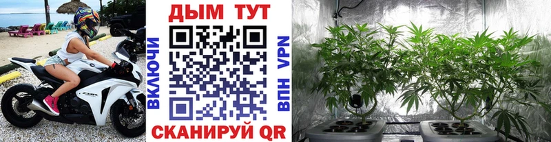 Бошки марихуана VHQ Липки